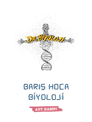AYT - Biyoloji Kamp Kitabı - DR.BİYOLOJİ